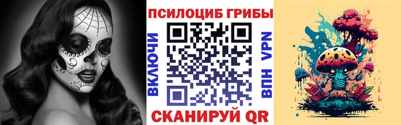 blacksprut ТОР Муром Галлюциногенные грибы ЛСД закладка