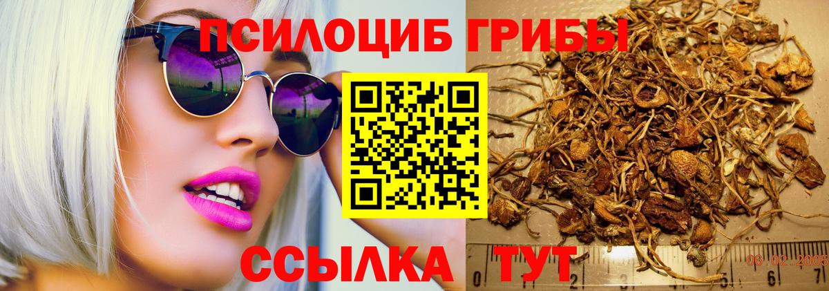 Псилоцибиновые грибы GOLDEN TEACHER  Вход с VPN  Муром 