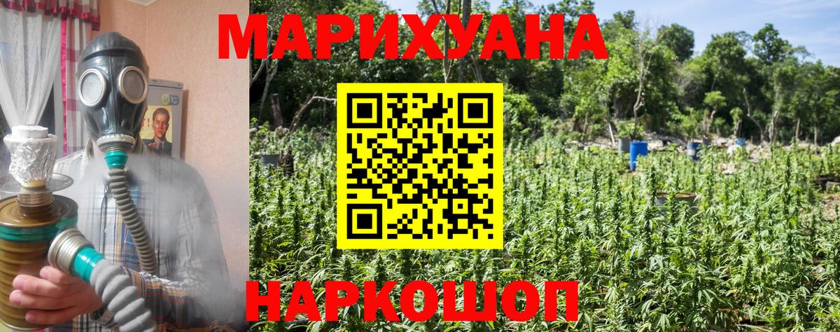 Марихуана сатива  Муром  Бошки марихуана план  Бошки Шишки ГИДРОПОН  Бошки марихуана Amnesia 